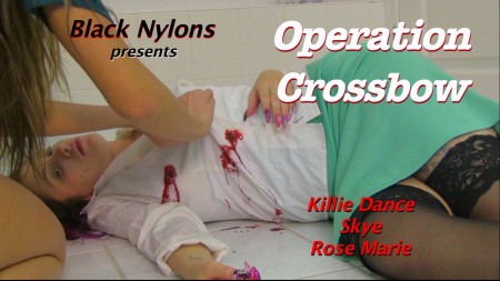 Operation Crossbow - 2 Graphic Shooting Deaths:  Curtis has fallen in love with Nora, but his mission is too critical for the others to leave her in a position to compromise their security.  So, Frieda concludes that Nora must be killed.   She shoots her with a silencer and they drag off her body.  

Unfortunately, for Skye, she walks in at the wrong time, and she has to be eliminated as well.   Two great shootings and a uniquely powerful slow-motion version of Skye's death.