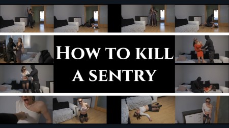 How to kill a sentry - - 17 minutes long knife/gun fun video (only sounds effects, no blood)

- many death scenes

- many outfits

elements: ambush attacks, male vs female, stabbing to belly/chest, shooting, dying  agony, fighting, no blood at all