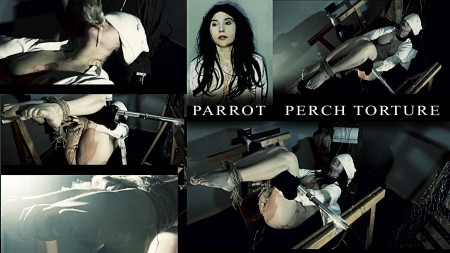 Electric City Productions - PARROT PERCH TORTURE PINOCHET