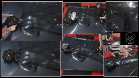 Xiaomeng Has a New Vacuum Bed